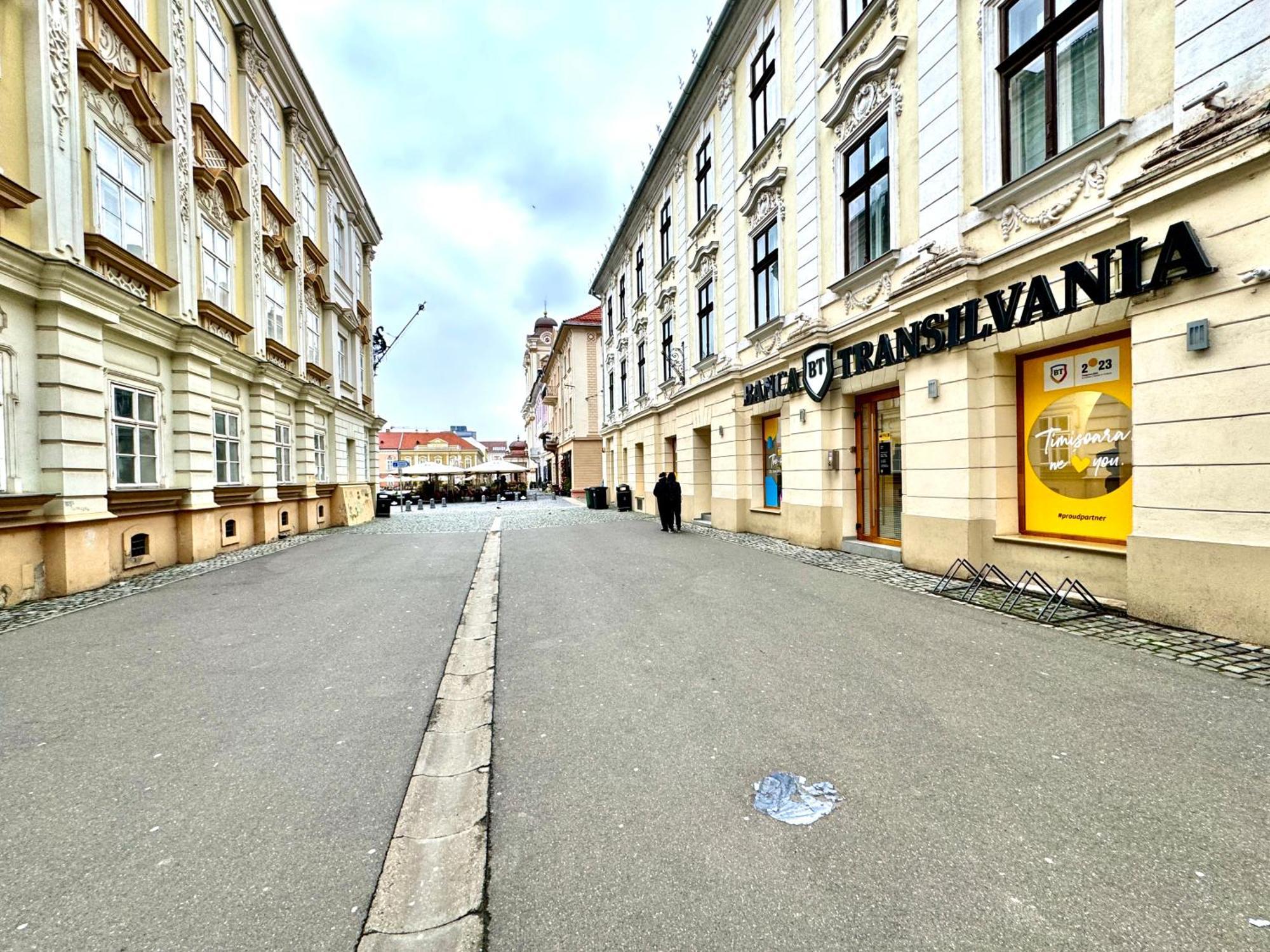 Blue Nest Apartment Timisoara Exterior photo